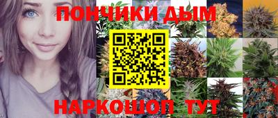 спайс Гагарин
