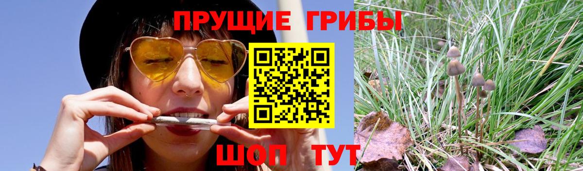 Псилоцибиновые грибы мицелий  Вход с VPN  Псилоцибиновые грибы Cubensis  Наро-Фоминск 