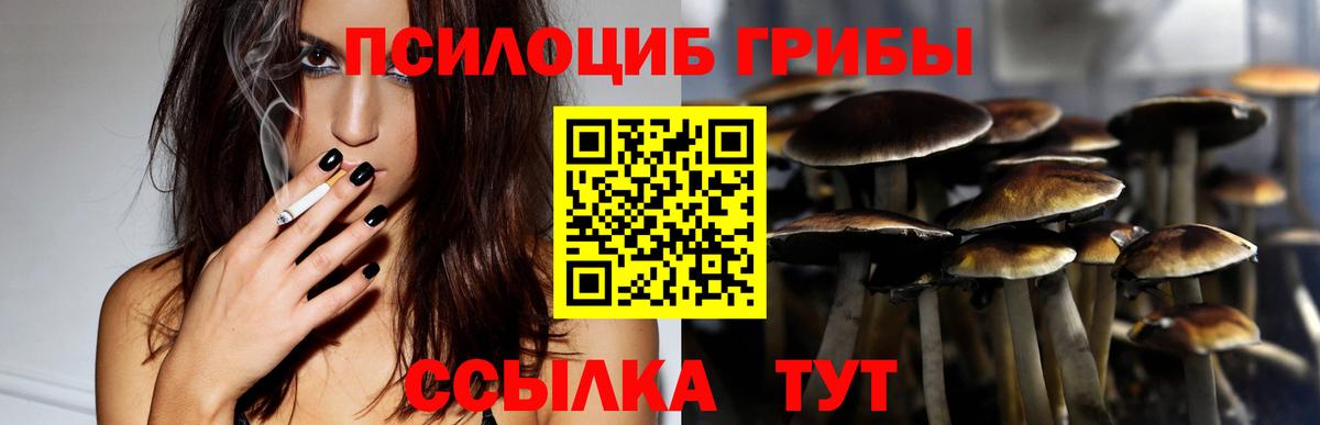 Псилоцибиновые грибы Magic Shrooms Наро-Фоминск